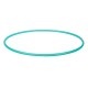 PolyPro Hoop (Set of 2 hoops)