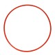 PolyPro Hoop (Set of 2 hoops)