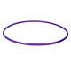 PolyPro Hoop (Set of 2 hoops)
