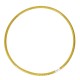 Standard Hoop (300 to 500 gms; HDPE Tubing 3/4") Standard Hoop (300 to 500 gms; HDPE Tubing 3/4")